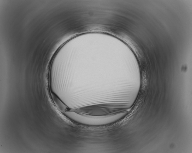 X0000097641142200803281117