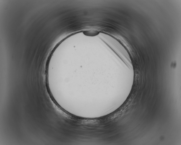 X0000097641143200803281117