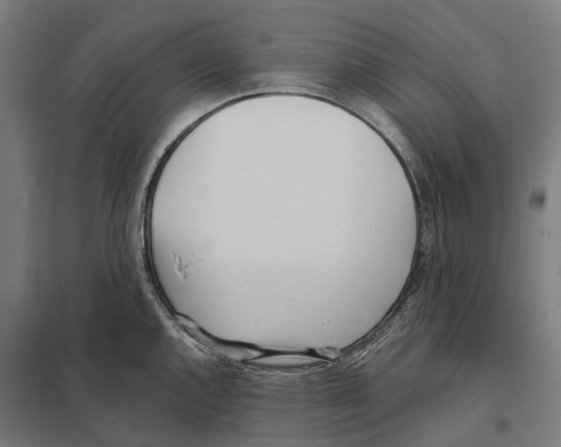 X0000097641144200803281117