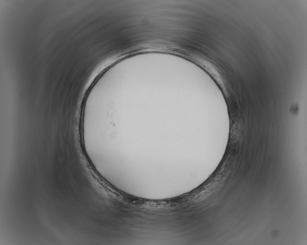 X0000097641146200803281117