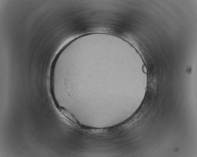 X0000097641147200803281117