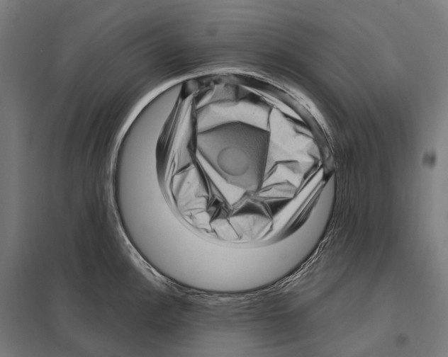 X0000097641148200803281117