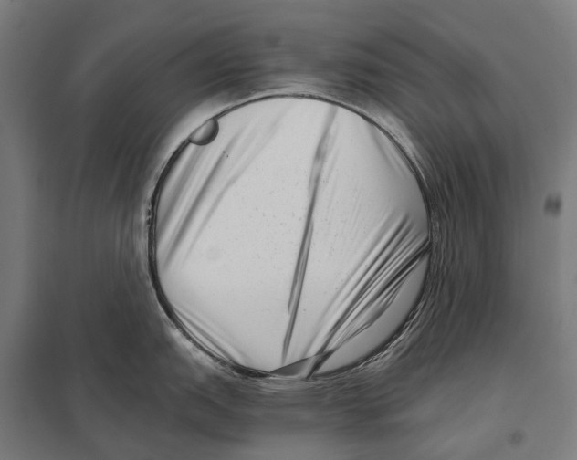 X0000097641151200803281117