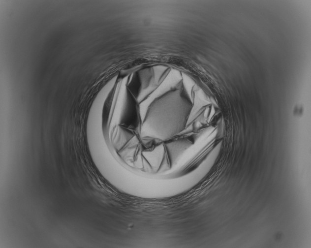 X0000097641154200803281117