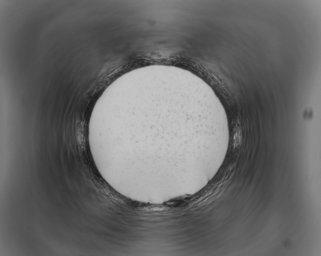 X0000097641156200803281117