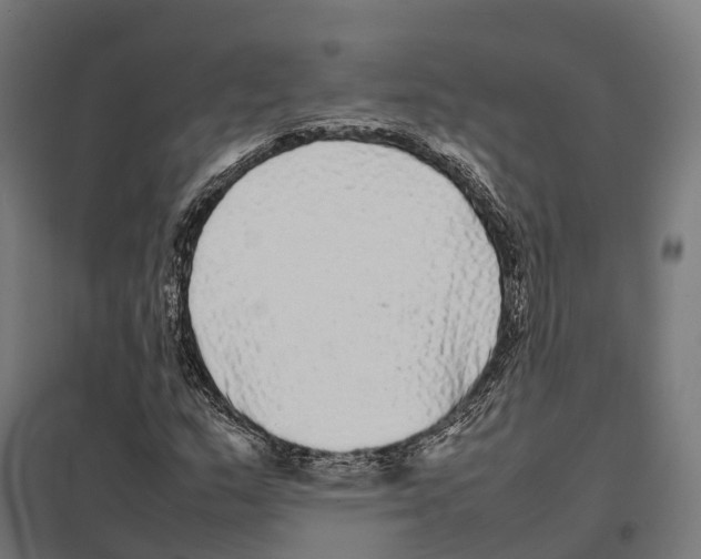 X0000097641159200803281117