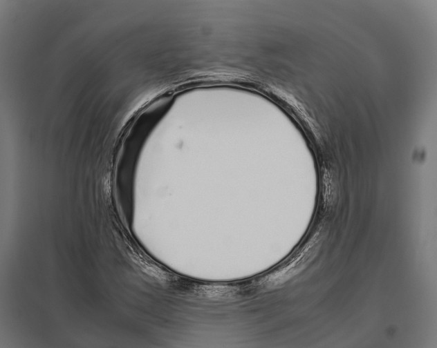 X0000097641163200803281117