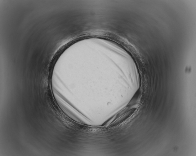 X0000097641166200803281117