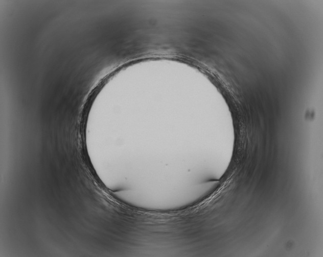 X0000097641168200803281116