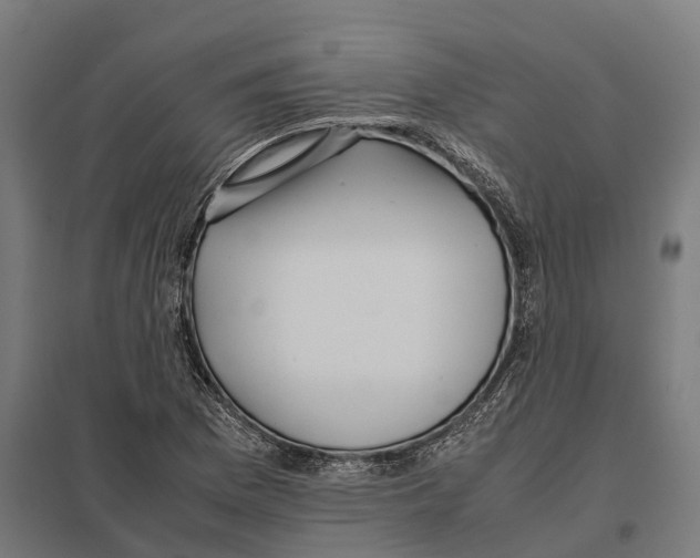 X0000097641169200803281116