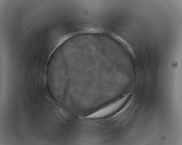 X0000097641170200803281116