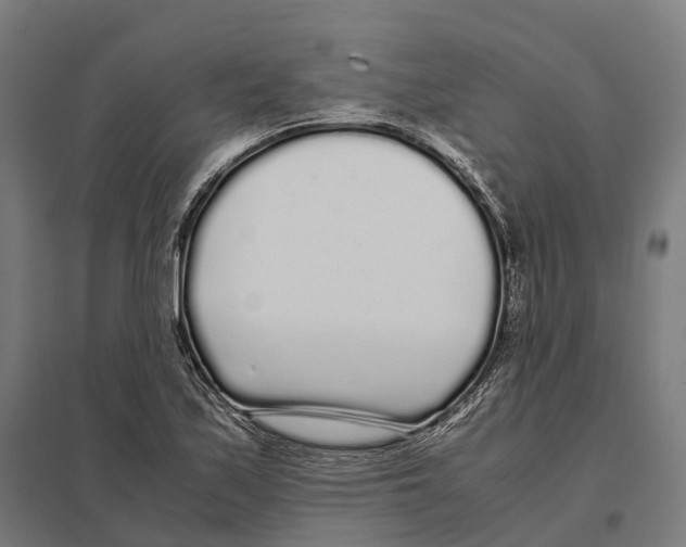 X0000097641171200803281116