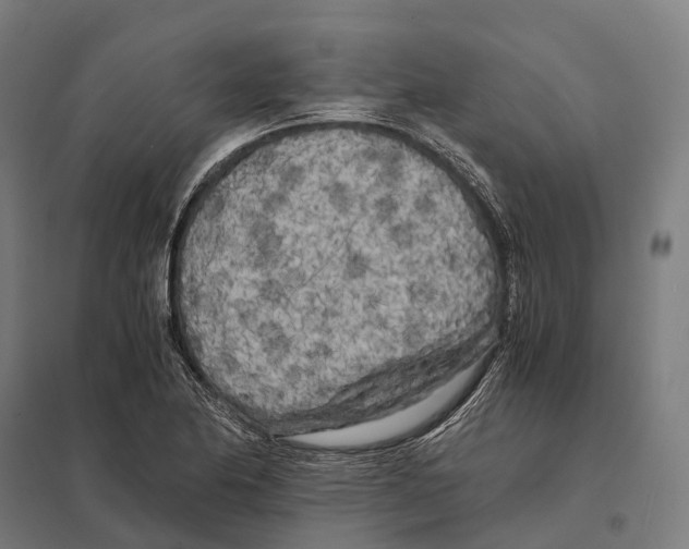 X0000097641174200803281116