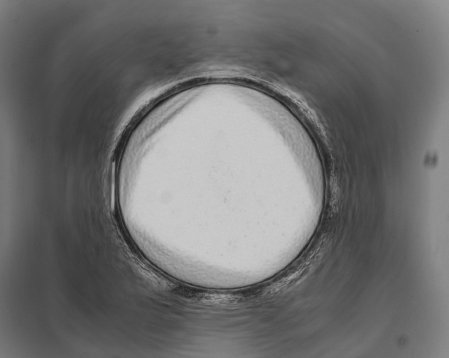 X0000097641175200803281116