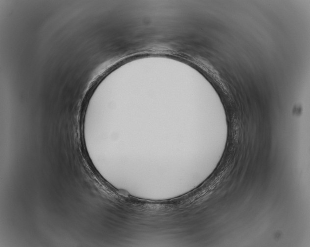 X0000097641176200803281116