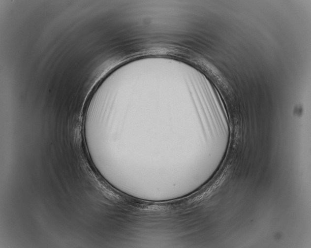 X0000097641178200803281116