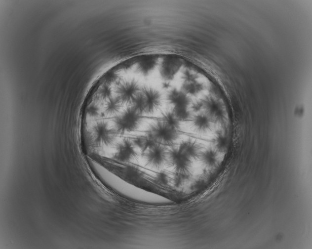 X0000097641179200803281116