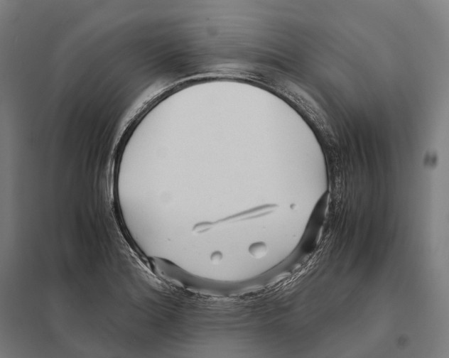 X0000097641180200803281116