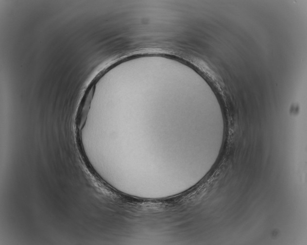 X0000097641181200803281116