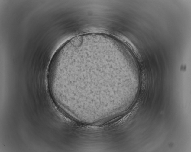 X0000097641182200803281116