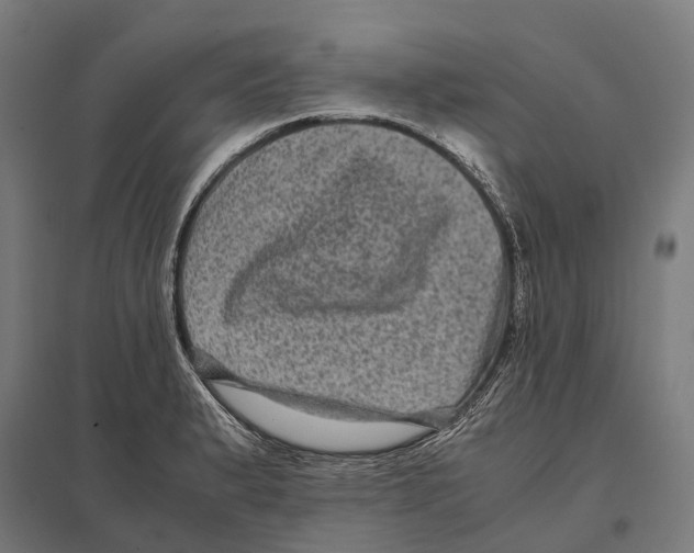 X0000097641183200803281116