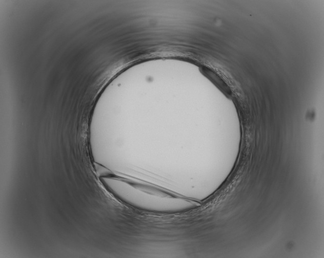 X0000097641185200803281116