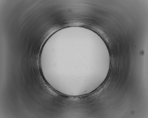 X0000097641186200803281116