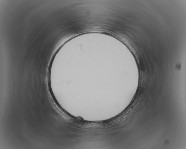 X0000097641187200803281116