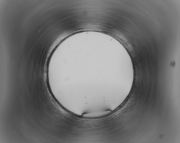 X0000097641188200803281116