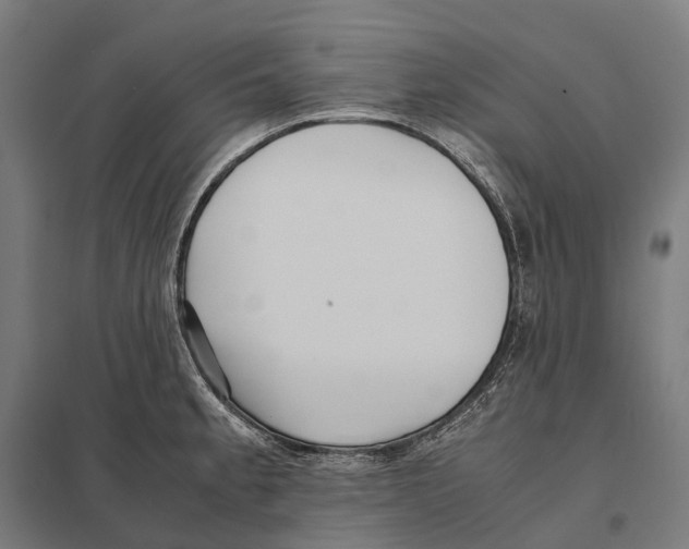 X0000097641189200803281116