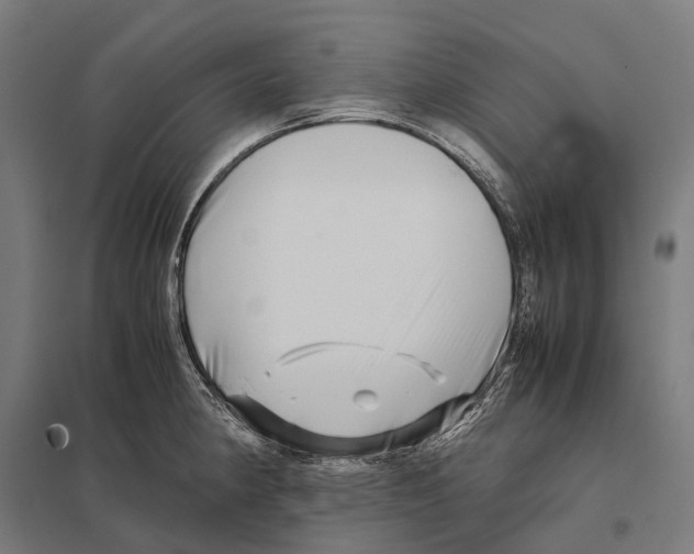 X0000097641190200803281116