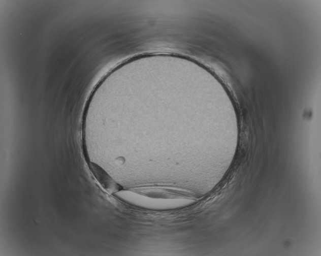 X0000097641191200803281116