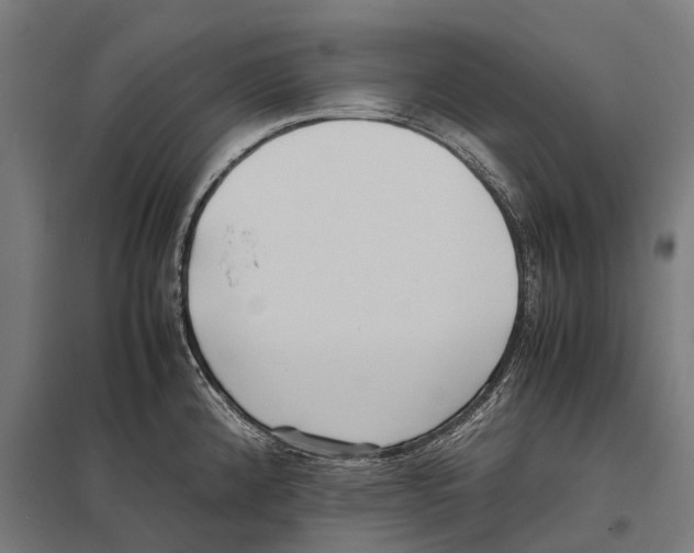 X0000097641192200803281116