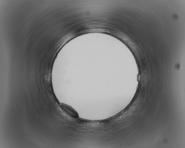 X0000097641193200803281116