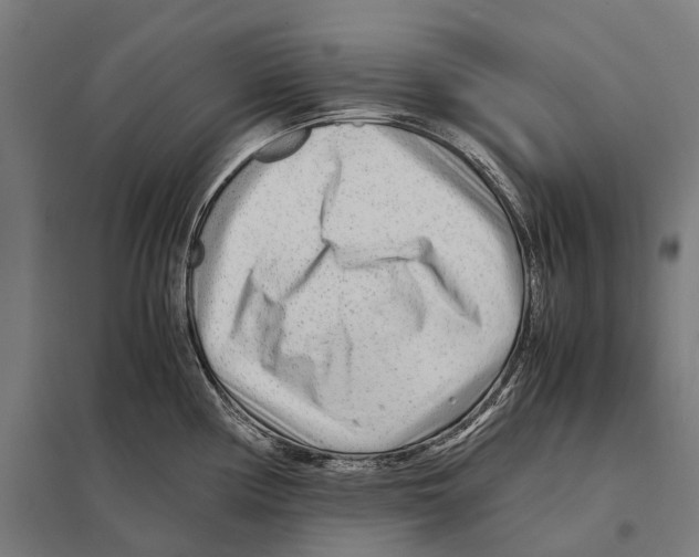 X0000097641194200803281116