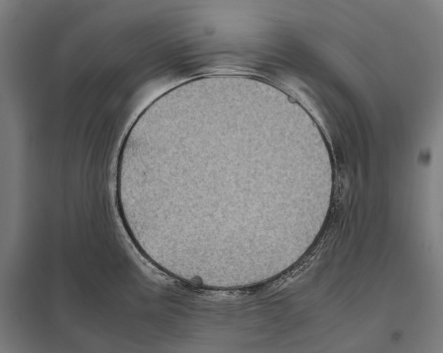 X0000097641195200803281116