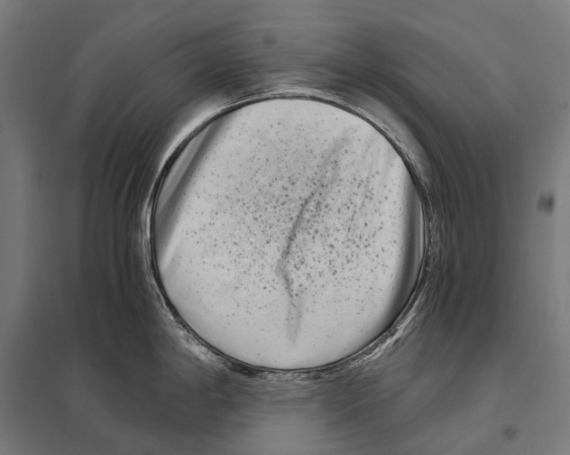 X0000097641198200803281116