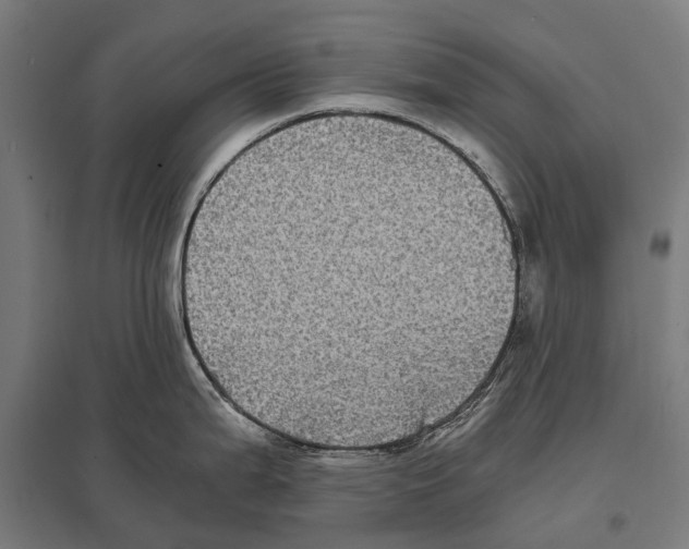 X0000097641199200803281116