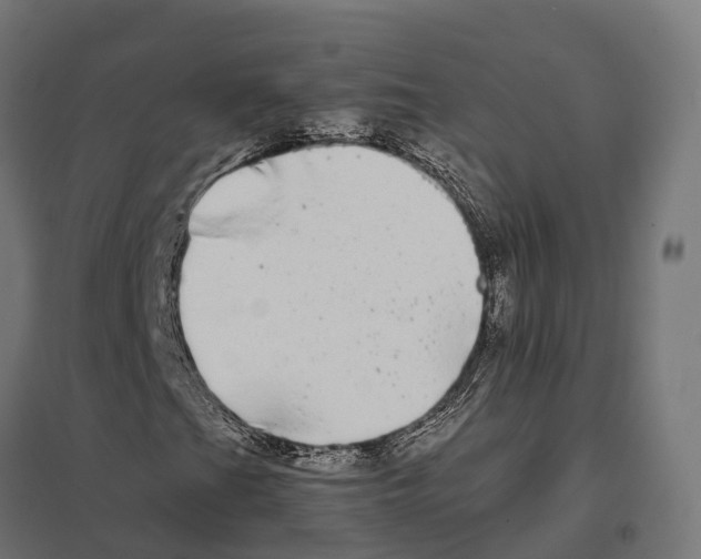 X0000097641201200803281115