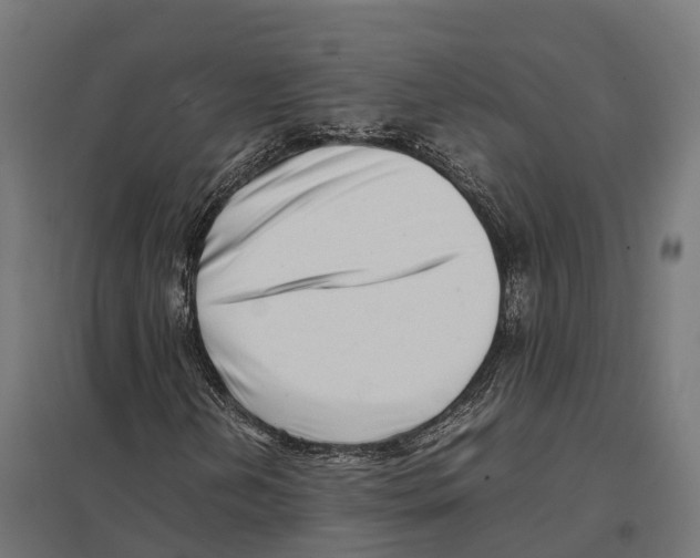 X0000097641202200803281115