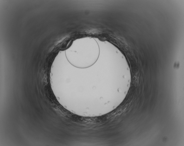 X0000097641205200803281115