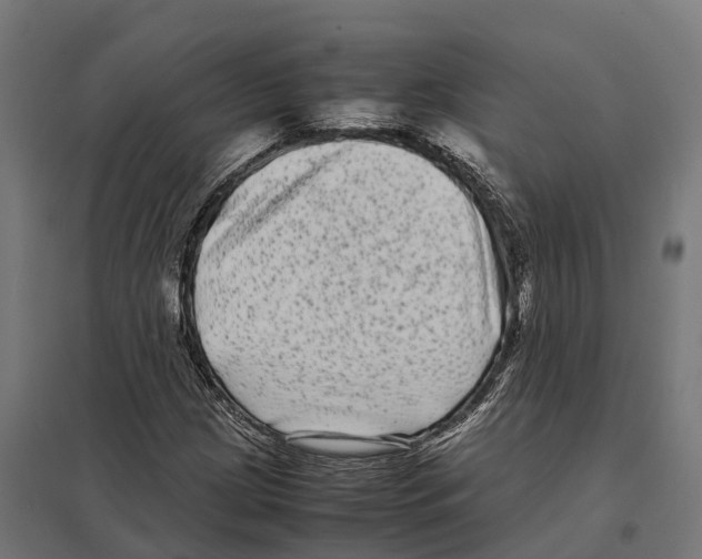 X0000097641209200803281115