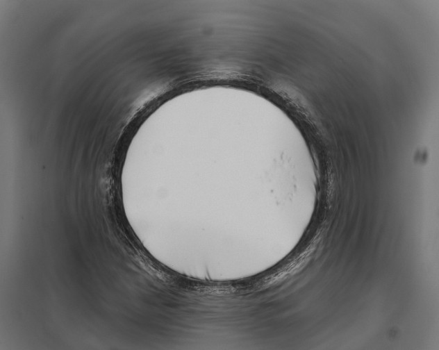 X0000097641210200803281115