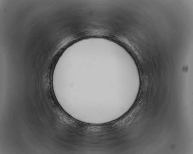 X0000097641211200803281116