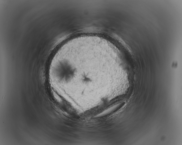 X0000097641213200803281116
