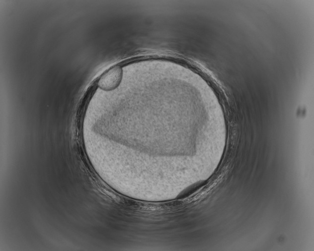 X0000097641215200803281116