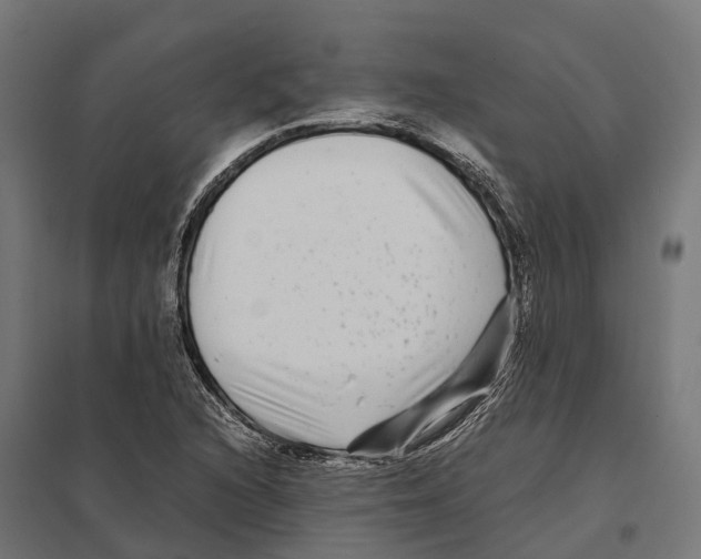 X0000097641216200803281116