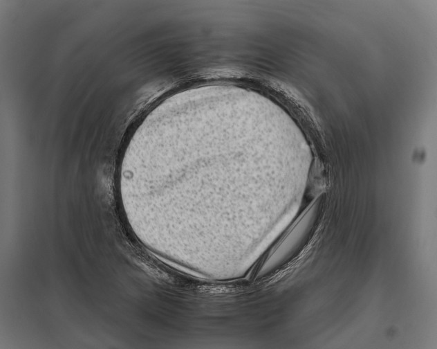 X0000097641217200803281116