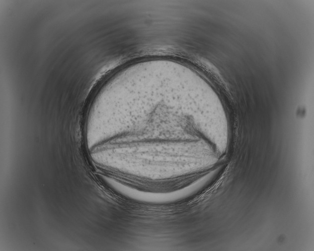 X0000097641218200803281116