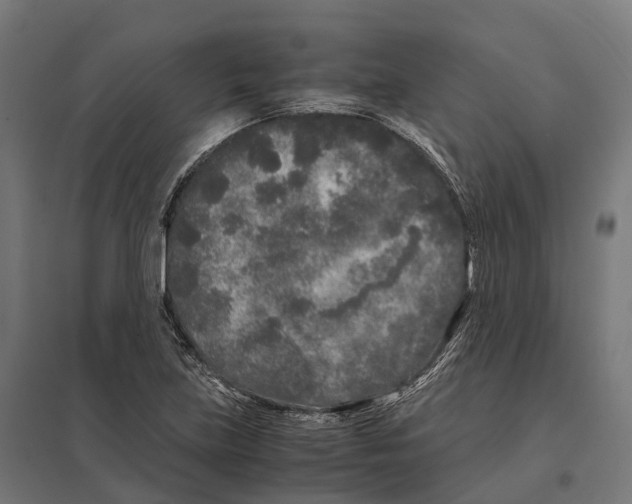 X0000097641219200803281116